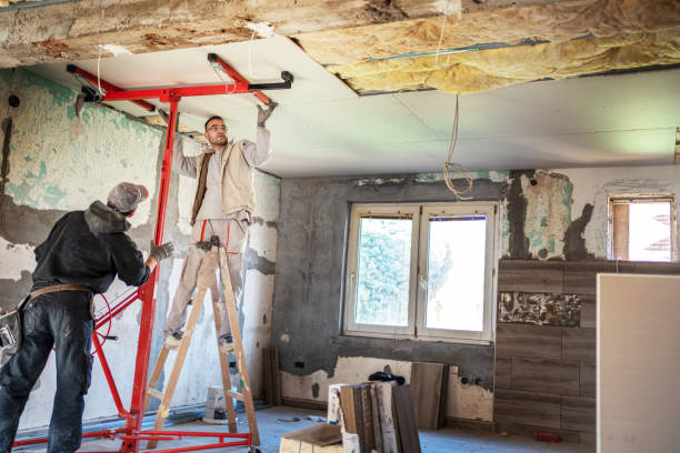 Best Insulation Maintenance and Repair in Braska City, NE