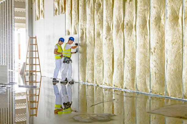 Types of Insulation We Offer in NE